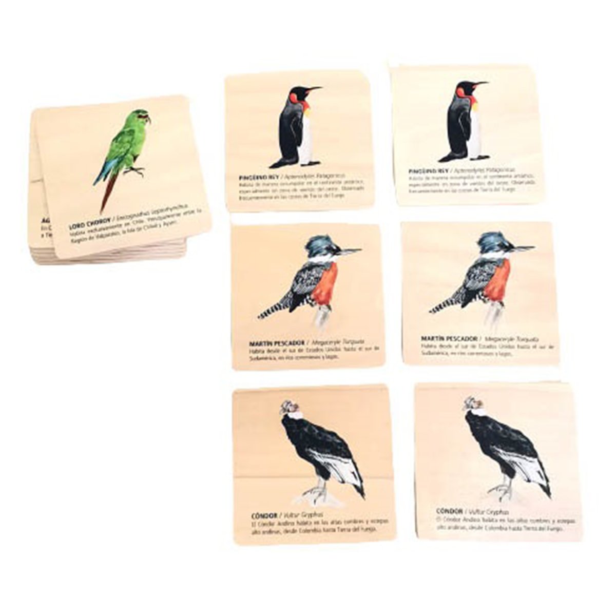 Juego Memorice Aves De Chile
